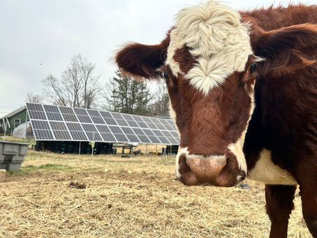 Conservation Funding Encourages Local Farmers and Landowners to 'Grow Green' in 2024