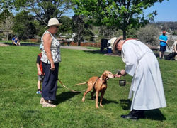 Blessing of the animals