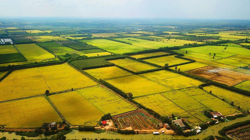 Cập nhật giá đền bù đất nông nghiệp 2024