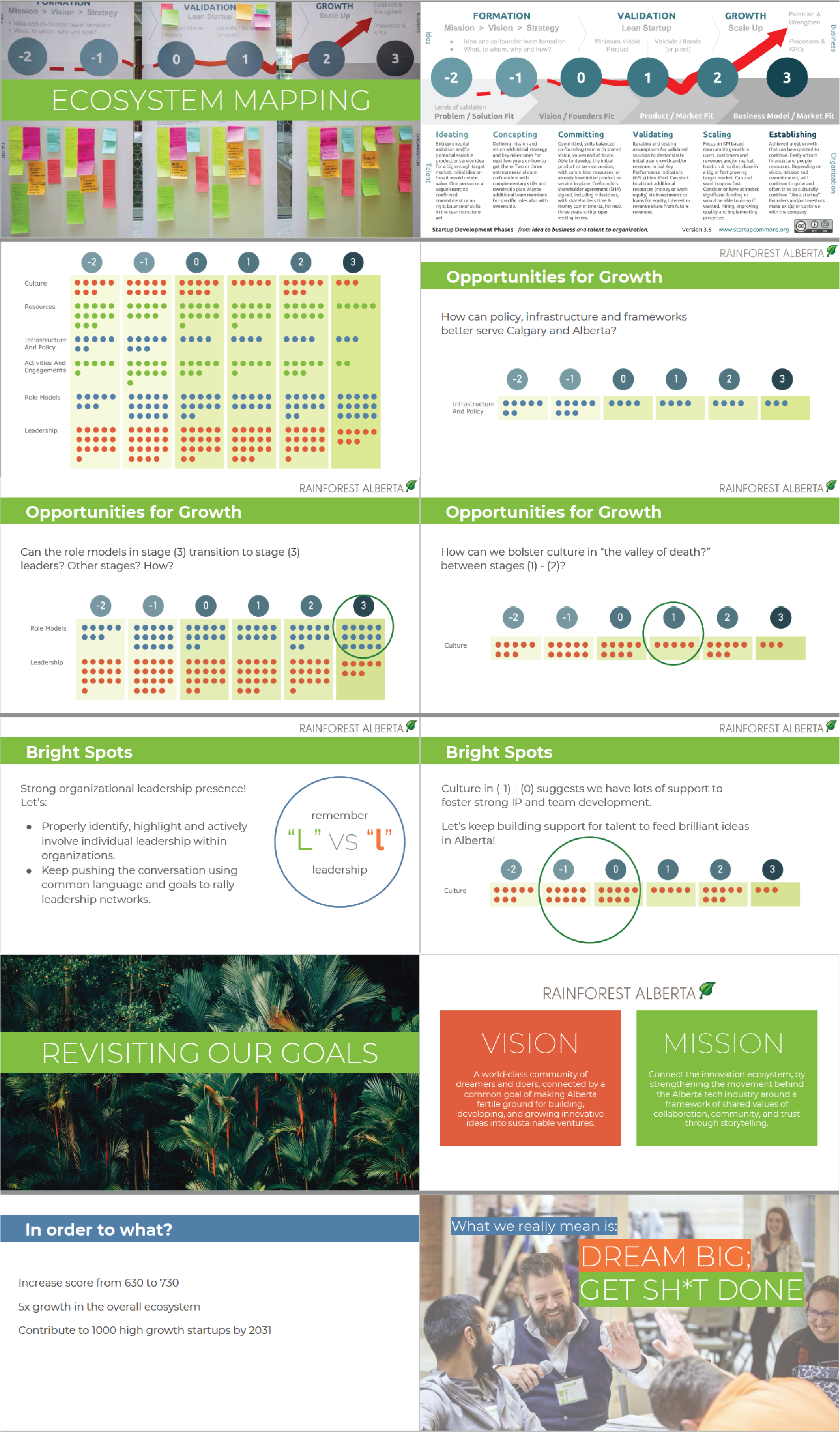 Rainforest 2020 case study pngs-02