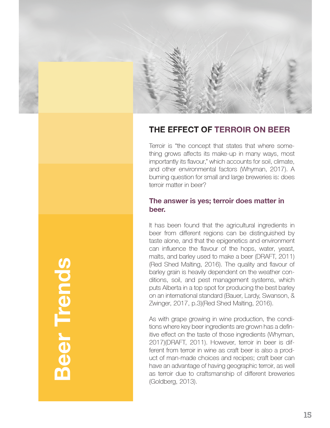 Info Design