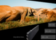 SERIES 2 FOR WEB (3).png