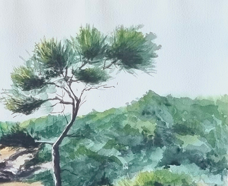 Miniature : Aquarelle originale "Crique à Minorque"