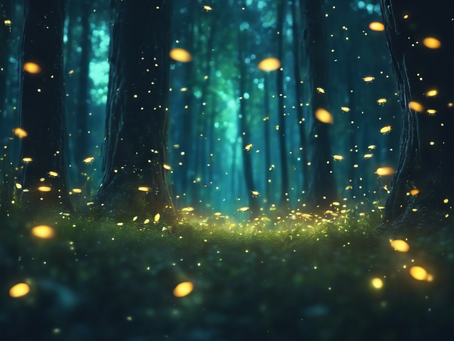 Immerse Yourself in Magical Realms with Our Fantasy Novels