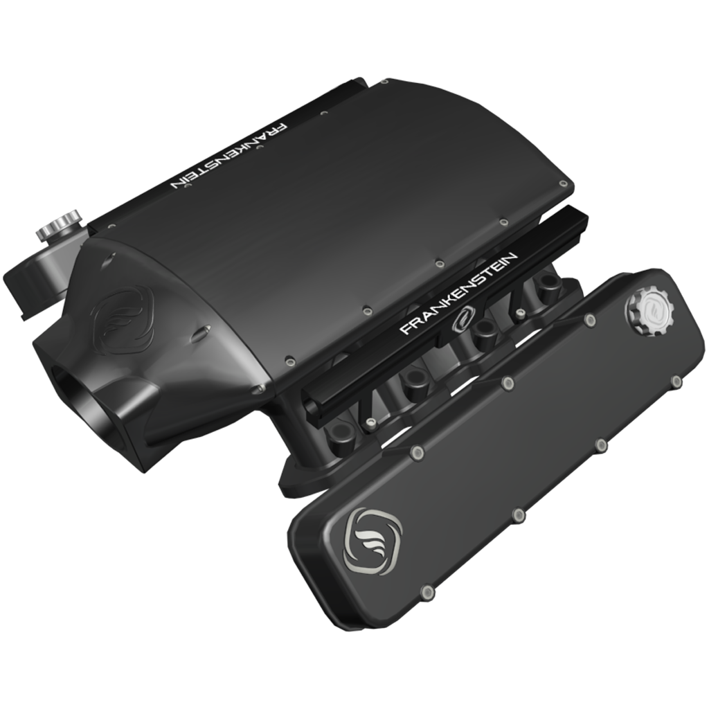 Frankenstein Freak Show intake and covers