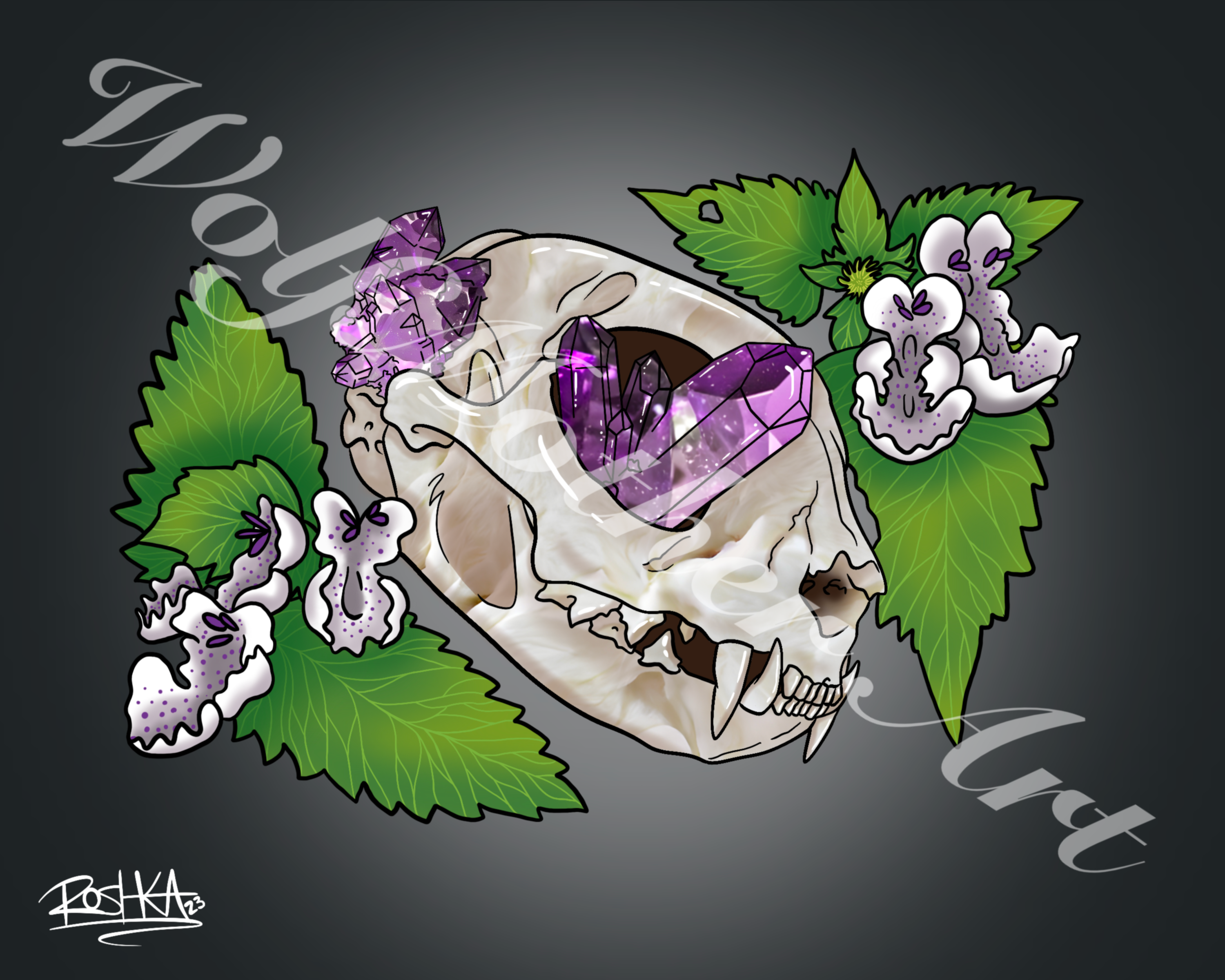 Cat Amethyst