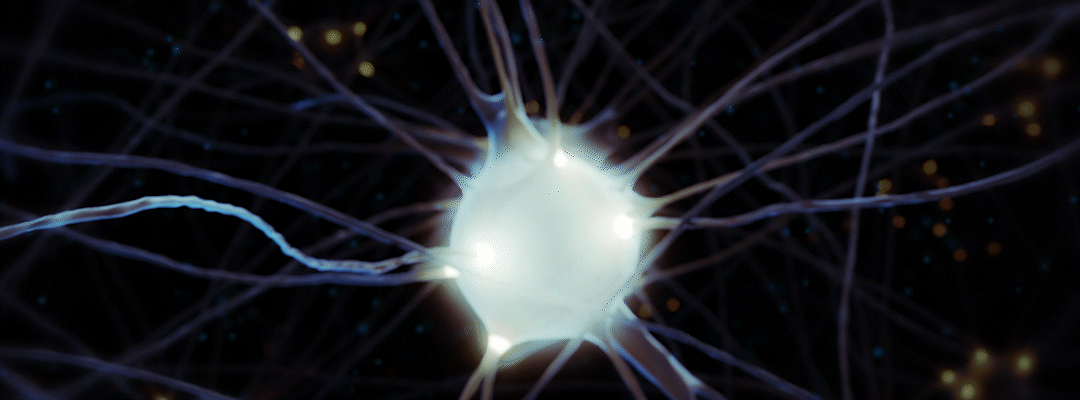 Brain Neuron