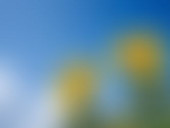 夏の体になる～夏が物足りない人の過ごし方