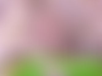 「正しい季節の過ごし方～春編」の開催のお知らせ