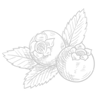 13.png