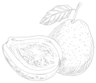 6.png