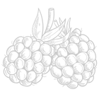12.png