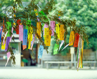 七夕 ～一年に一度の逢瀬～