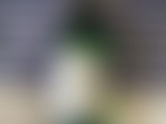 RESENHA - THE BODY SHOP GEL DE LIMPEZA FACIAL TEA TREE