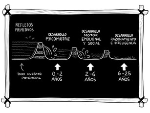 ¿Qué son los Reflejos Primitivos?