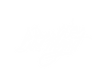 Bos Logo 1 White Transparent.PNG