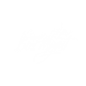 Bos Logo 1 White Transparent.PNG