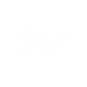 Bos Logo 1 White Transparent.PNG