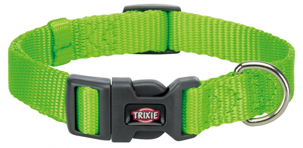 TRIXIE S COLLAR GREEN 25-40 CM