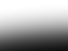 Ellipse 126.png