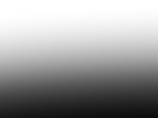 Ellipse 126.png