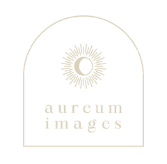 basic logo_edited_edited_edited.png