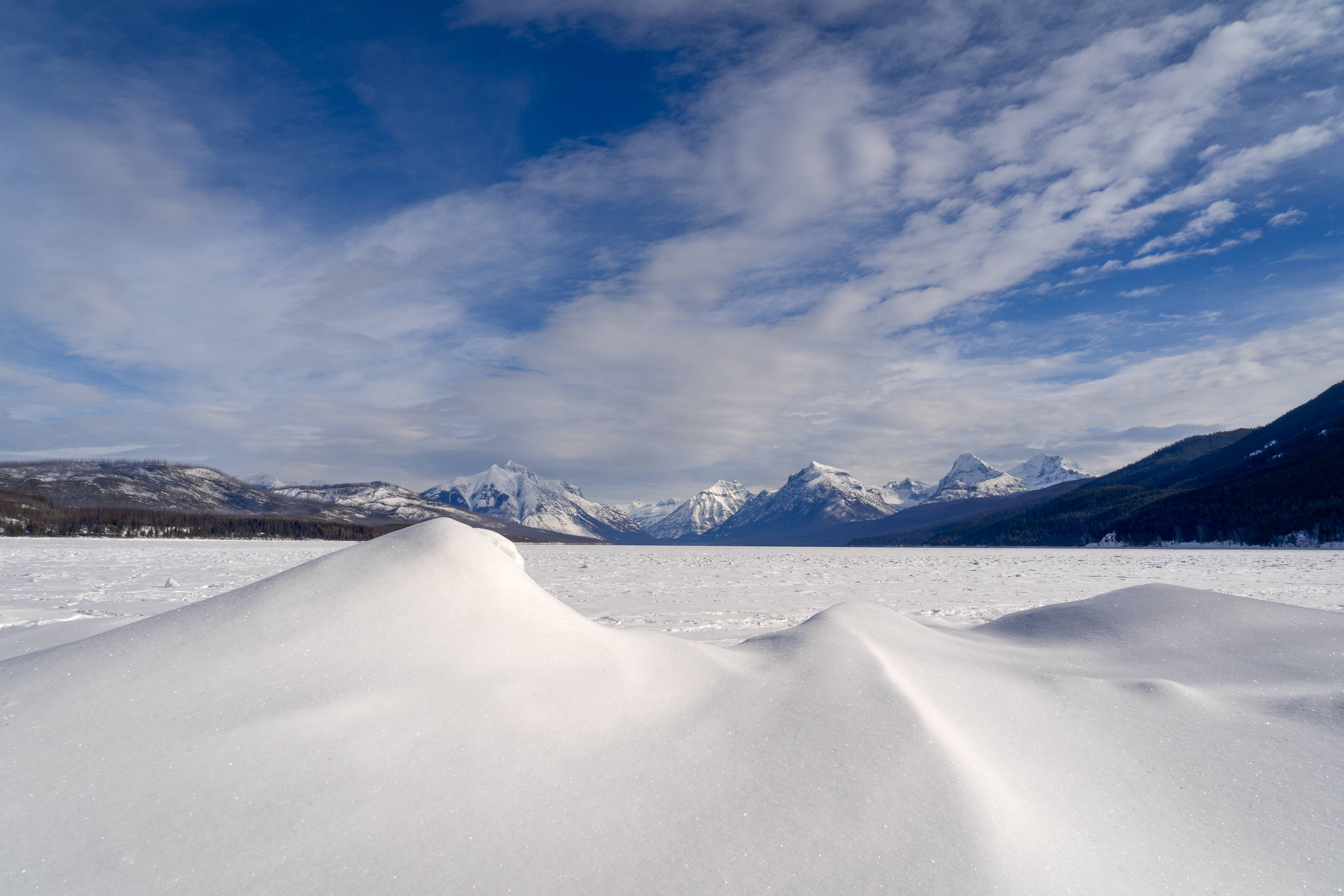 Winter Delight