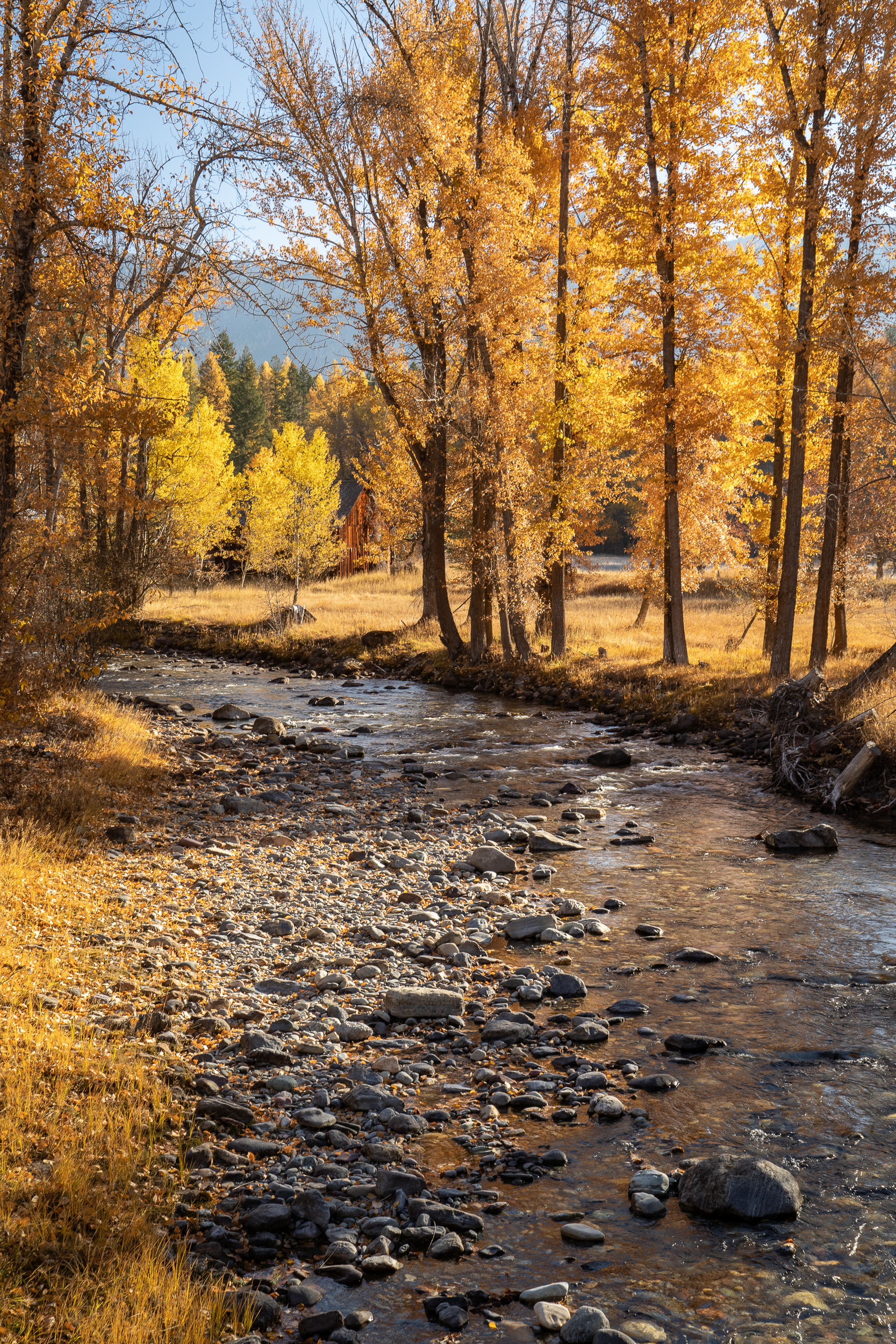 Grave Creek