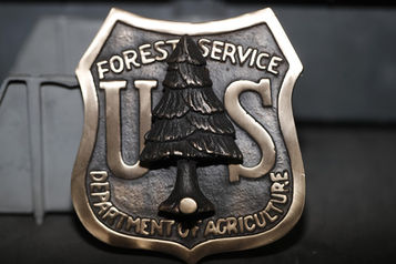 Forest Service lays off 360