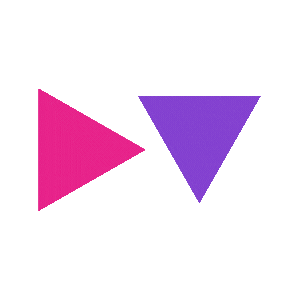 proviz-digital-company