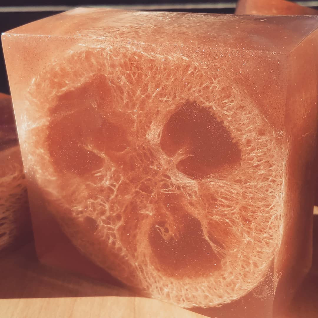 Rose Geranium Loofah Bar
