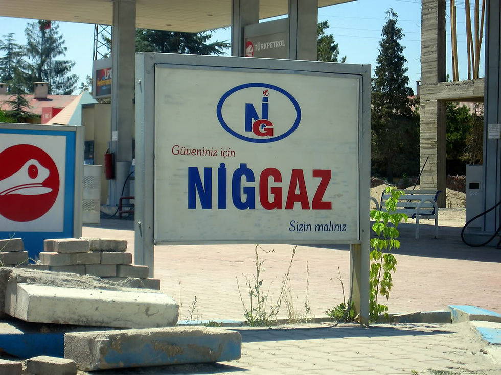 Логотип компании Ниггаз