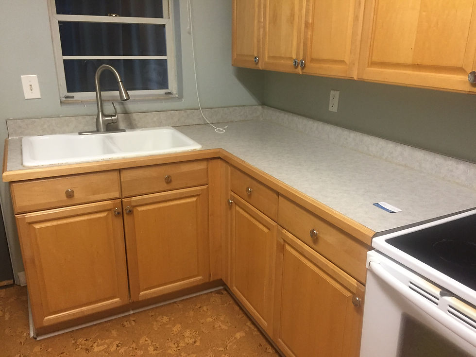 BEFORE Counter Refinishing