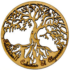 WhatsApp Image 2021-01-05 at 9.28.18 PM.