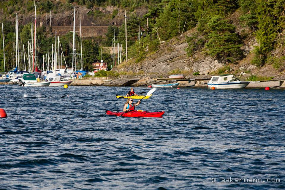 Sikkerhet i høysete.