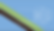 dngstrip-3.png