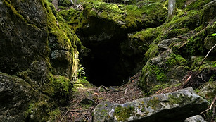 Entrance to a mossy cave in the Bruce Pe