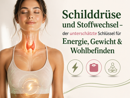 Schilddrüse und Stoffwechsel – der unterschätzte Schlüssel für Energie, Gewicht & Wohlbefinden
