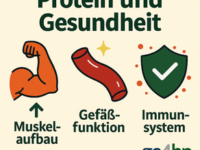 Infografik mit drei Symbolen zeigt, wie Protein Gesundheit unterstützt: ein Muskelarm steht für Muskelaufbau, ein rotes Blutgefäß für Gefäßfunktion und ein grünes Schild für Immunsystem. Text: ‚Protein und Gesundheit‘.