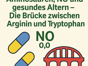 Grafik zeigt den Titel ‚Aminosäuren, NO und gesundes Altern – Die Brücke zwischen Arginin und Tryptophan‘ mit zwei Kapseln, einem chemischen NO-Symbol und einer stilisierten roten Brücke als Metapher für die Verbindung zwischen den Aminosäuren.