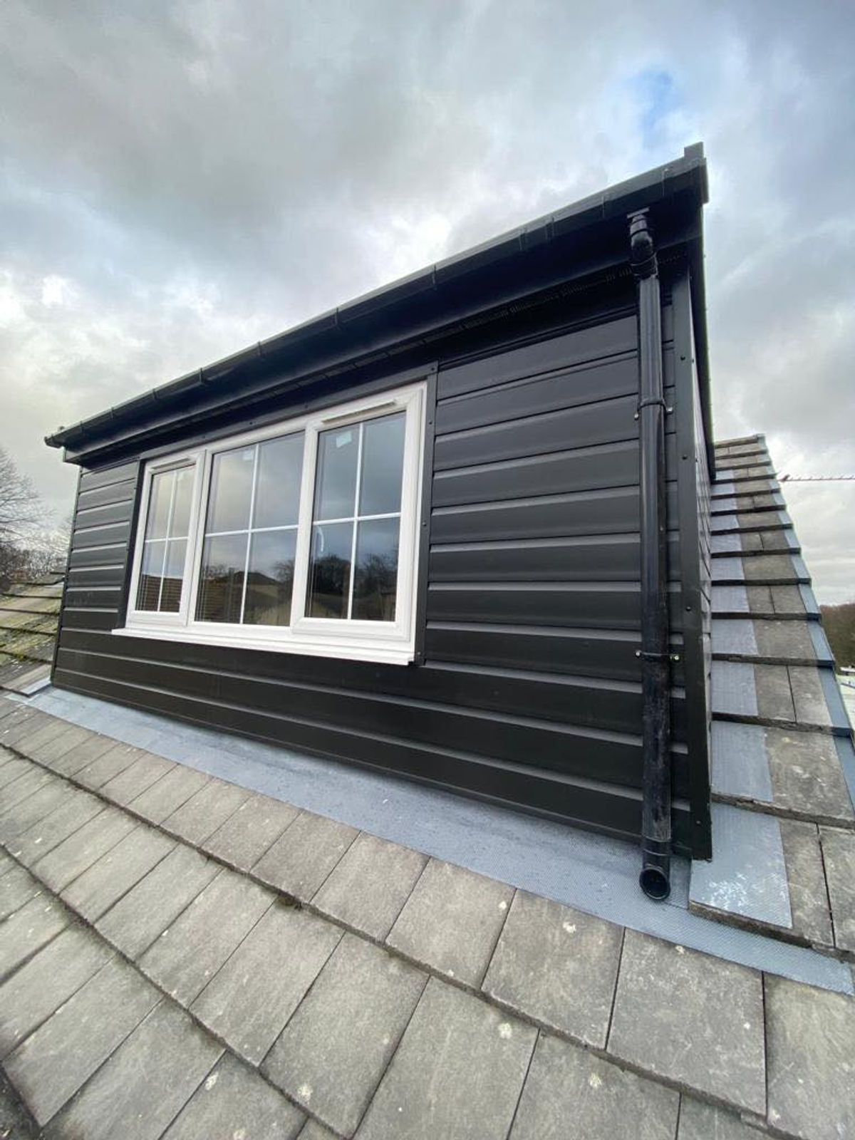 Extension