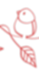 Original on transparent_edited_edited.png