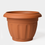 Thumbnail: BECZKA TULIPAN PLANT POT
