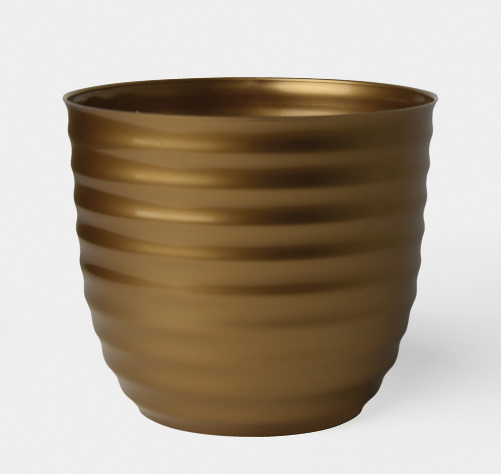 Miniatura: DONICZKA ORCHIDEA BRATEK