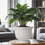 Thumbnail: LILIA PLANT POT