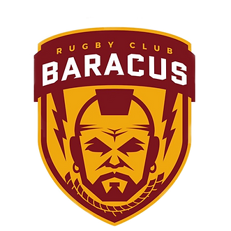 baracus rugby club logo_edited.png