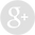 Google+ - Grey Circle