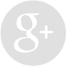 Google+ - Grey Circle