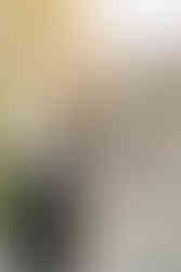 Hochzeitspaar vor dem Schloss Hünigen