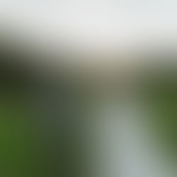 Ein Paar in Hochzeitskleidung läuft Hand in Hand über eine grüne Wiese. Die Sonne geht unter, der Himmel ist klar und friedlich.
